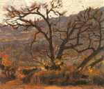 PAISAJE DE LO CONTADOR