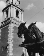 DETALLE DE LA TORRE DE LA IGLESIA DE SAN FRANCISCO, EN PRIMER PLANO DOS CABALLOS DE TIRO