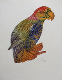 El guacamayo