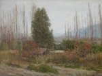 PAISAJE DE OTOÑO