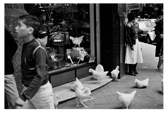 Proyecto traslado, 1981 Proyecto traslado, 1981