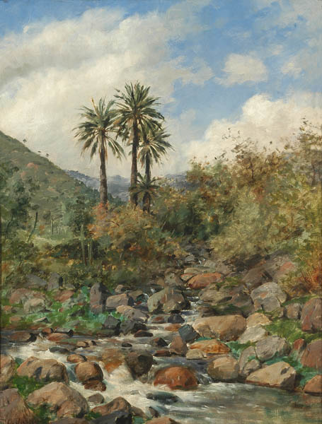 PALMAS DE OCOA PALMAS DE OCOA
