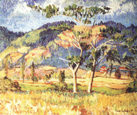 PAISAJE EN EL VALLE DE CONTULMO