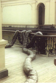 CUERPOS BLANDOS (registro de la intervención en el Museo Nacional de Bellas Artes, Santiago, Chile)