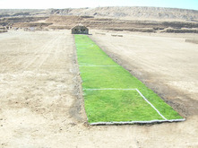 CROP, HUMBERSTONE (registro de la intervención en la Bienal del Desierto, Chile)