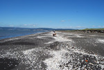 CARRETERA INTERPORTUARIA, CONCEPCIÓN