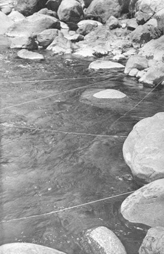 DEBAJO O ENCIMA DEL AGUA (Registro fotográfico de intervención) DEBAJO O ENCIMA DEL AGUA (Registro fotográfico de intervención)