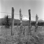 Camino Villarica Pucón, Volcan