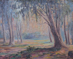 BOSQUE DE EUCALIPTOS