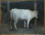 LA VACA BLANCA