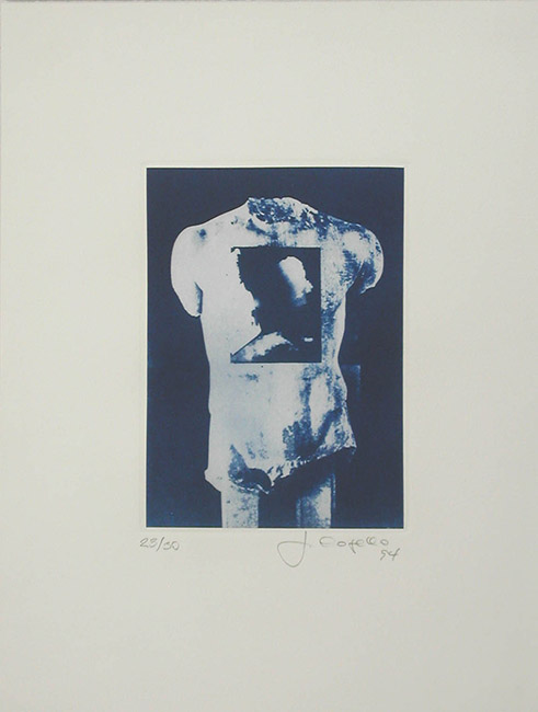 TORSO TORSO