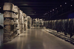 TRASTOCADO SILENCIO (registro de la instalación en el Museo Nacional de Bellas Artes, Santiago, Chile)