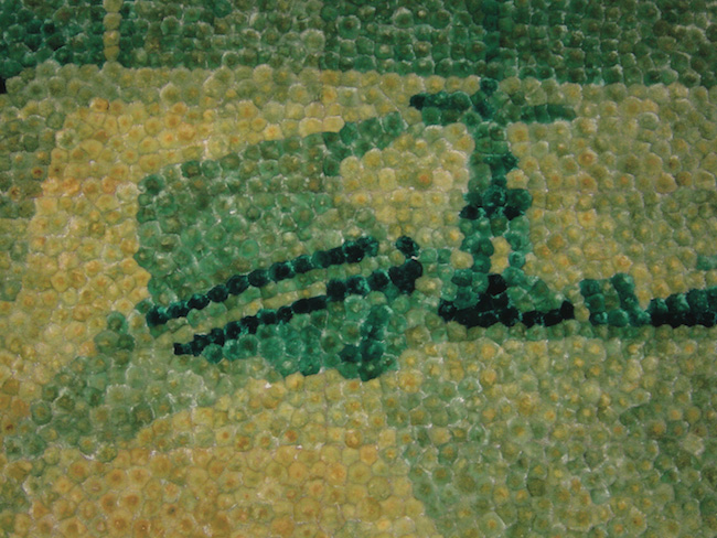 SOBREVIGILANCIA (detalle) SOBREVIGILANCIA (detalle)