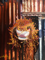 Contrastes del Atardecer